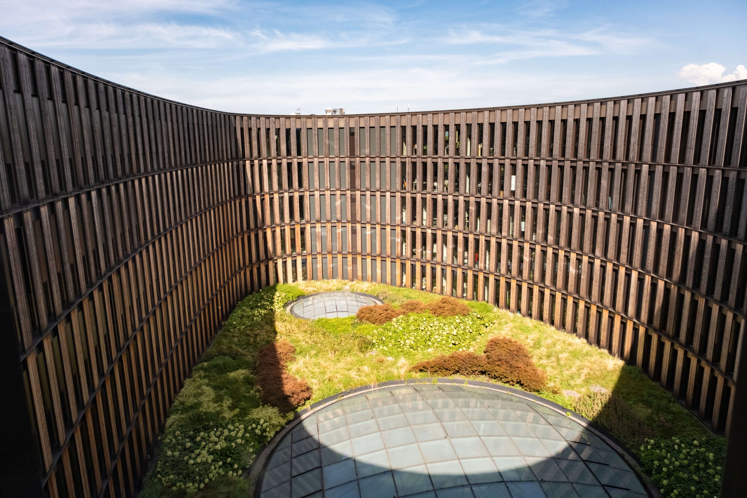 Das Freiburger Rathaus ist aus Holz gebaut mit vielen Fenstern. Es umschließt den Innenhof: ein begrüntes Dach. Foto © Martin Ziaja Photography 2023